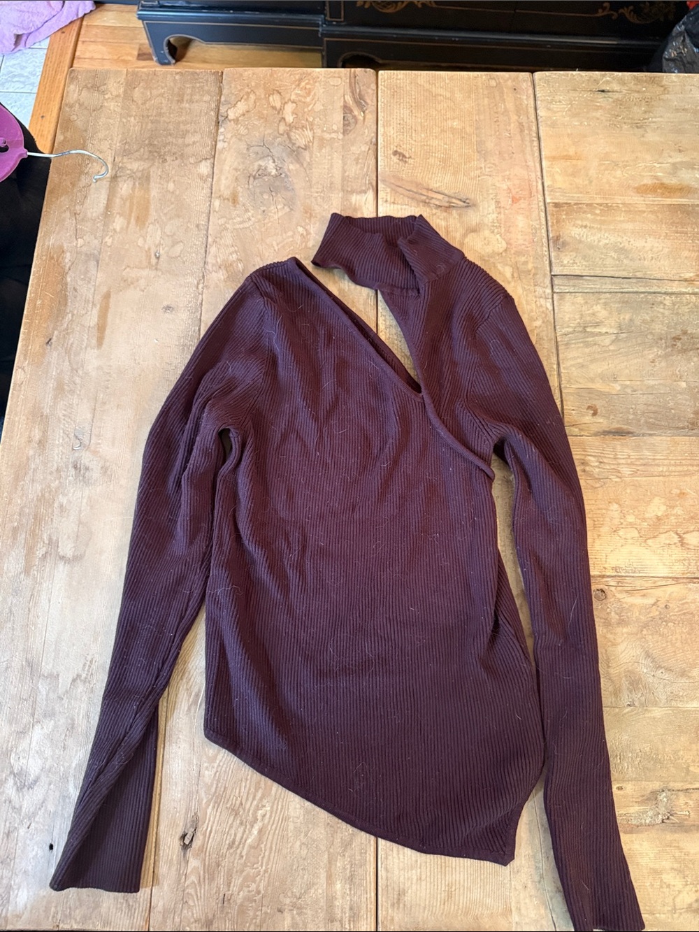 Ribbed Asymmetric Turtleneck Top in Plum